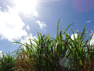 Dscf5801