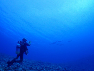 P7080030