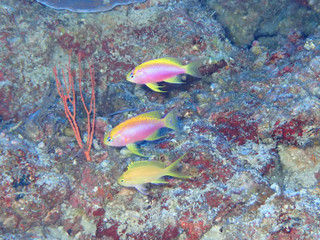 P7110083
