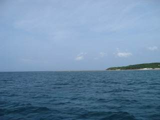 Img_1188 Img_1188