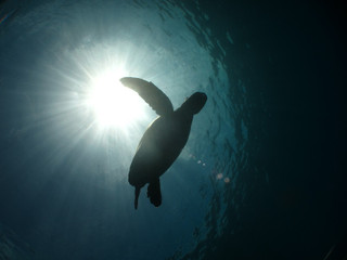 Img_1693 Img_1693