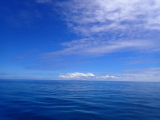 P8030023