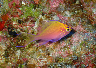 P8030039