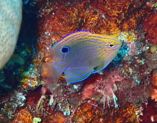 P8030049