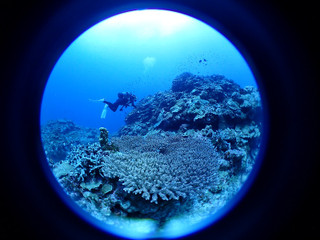 P9090012