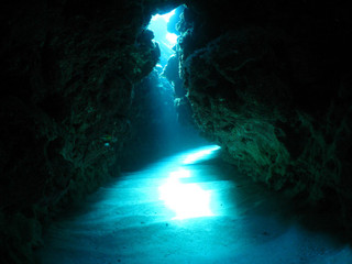 Img_5593 Img_5593