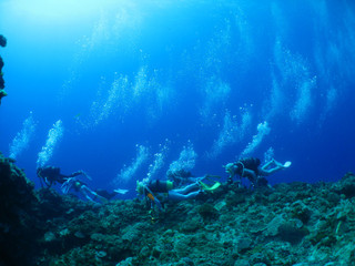 Img_2367 Img_2367