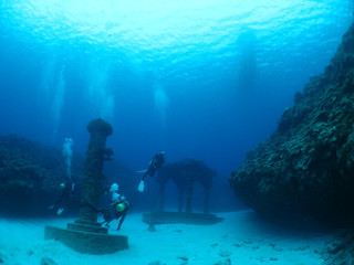 Img_4239 Img_4239