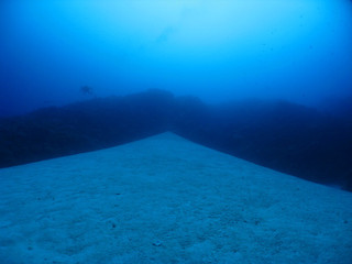 Img_4246 Img_4246