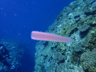 _5020008
