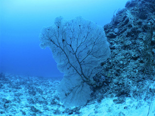 Img_4563 Img_4563