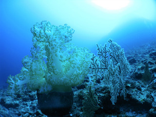 Img_4567 Img_4567