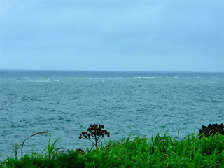 Dscn4479 Dscn4479