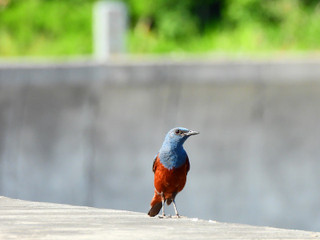 Dscn4529