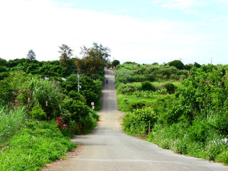 Dscn4552