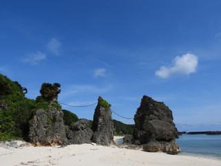 Dscn4510