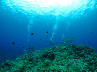 Img_5649 Img_5649