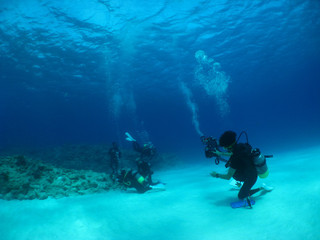 Img_6062 Img_6062