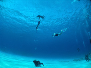 Img_6080 Img_6080