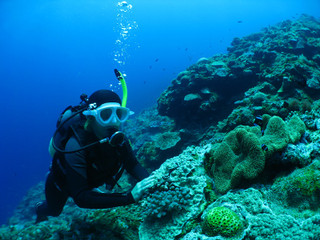 Img_6194 Img_6194