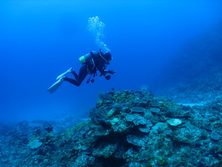 Img_6215 Img_6215