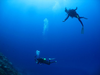 Img_6220 Img_6220