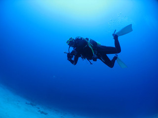 Img_6371 Img_6371