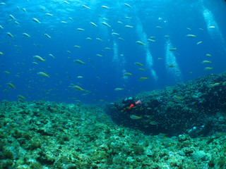 Img_6375 Img_6375