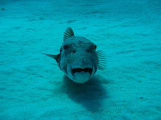 Img_6416 Img_6416