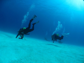 Img_6424 Img_6424