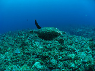 Img_6844 Img_6844