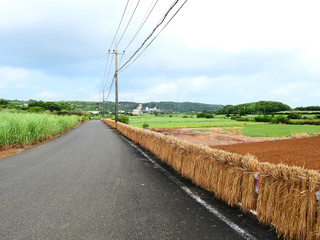 Dscn4596