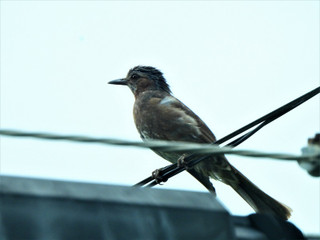 Dscn4642