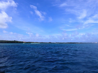 P7190039