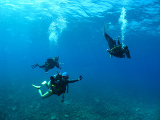 Img_0046 Img_0046