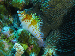Img_0113 Img_0113