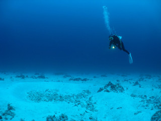 Img_0216 Img_0216