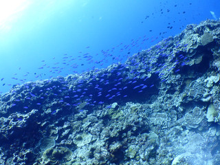 _8080014 _8080014