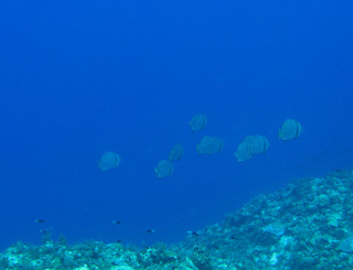 Img_0711 Img_0711