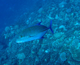 Img_0725 Img_0725