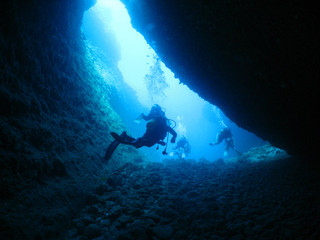 Img_0816 Img_0816