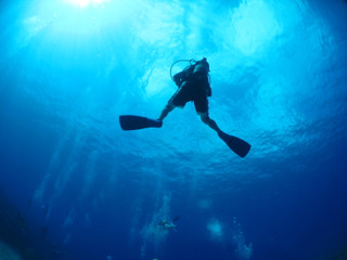Img_1439 Img_1439