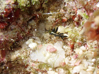 P9050053