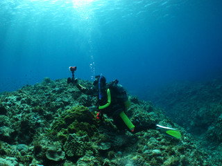 Img_0698 Img_0698
