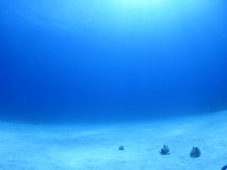 _9170031