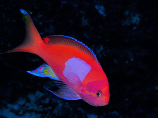 P9260001