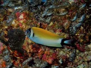 P9260003