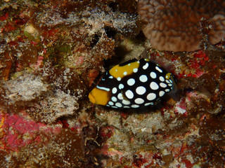 P9260006