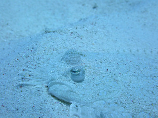 P9290035