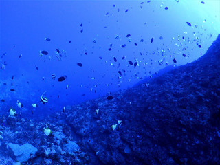 Pa020007